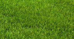Lawn Mowing Service - Springfield, MO